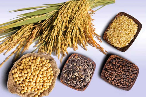 Các loại hạt sấy khô như hạnh nhân, hướng dương, hạt bí, óc chó, hạt lanh… là nguồn chất sắt dồi dào để ngăn ngừa bệnh thiếu máu. (ảnh minh họa) Các loại hạt sấy khô như hạnh nhân, hướng dương, hạt bí, óc chó, hạt lanh… là nguồn chất sắt dồi dào để ngăn ngừa bệnh thiếu máu. (ảnh minh họa)