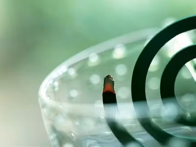 Đốt nhang muỗi để xua đuổi muỗi.