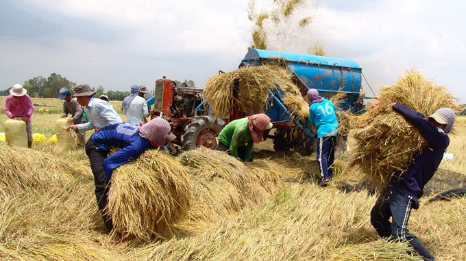 Dự thảo quyết định của Thủ tướng do Bộ Công thương soạn đã quy định 28 ngành có lợi thế cạnh tranh cao, điển hình là trồng lúa, trồng điều, trồng cây ăn quả, hồ tiêu, cao su, khai thác thủy sản biển, nuôi trồng thủy sản nội địa, công nghiệp dệt,...