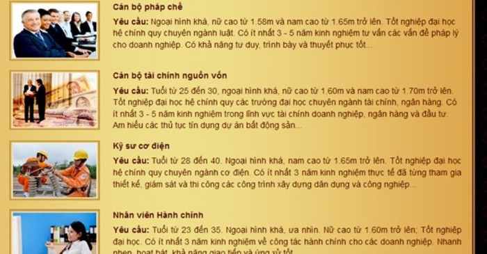 Hầu như tất cả các bộ phận, vị trí cần tuyển dụng, Tân Hoàng Minh đều yêu cầu nhân viên có ngoại hình khá, bên cạnh chiều cao và kỹ năng chuyên môn, nghiệp vụ.
