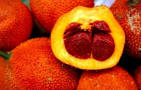 Màng bọc hạt gấc có chứa một vị thuốc quý là carotene. Màng bọc hạt gấc có chứa một vị thuốc quý là carotene.
