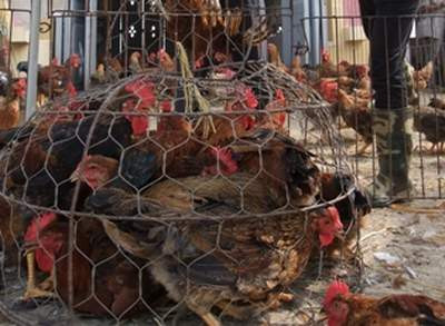 Ảnh minh họa. Ảnh minh họa.