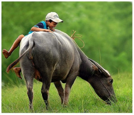 "Tuổi thơ dữ dội" hình ảnh trong sáng, hồn nhiên của thời thơ ấu được 3.785 lượt ủng hộ từ cộng đồng mạng. "Tuổi thơ dữ dội" hình ảnh trong sáng, hồn nhiên của thời thơ ấu được 3.785 lượt ủng hộ từ cộng đồng mạng.