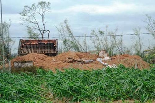 Bà cụ đơn thân bị nhà đè chết trong bão ảnh 1 Bà cụ đơn thân bị nhà đè chết trong bão, Tin tức trong ngày, bao son tinh, bao so 8, sieu bao, bao di chuyen nhanh, sieu bao son tinh, bao 2012, mua mua bao, mua mua bao 2012, bao, tin nhanh, tin hot, tin tuc, vn