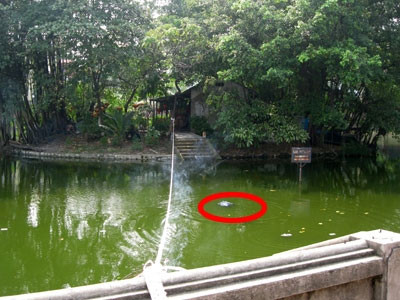 Hiện trường nơi phát hiện xác chết. Hiện trường nơi phát hiện xác chết.