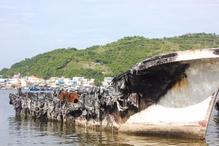 Mới đây, Trung tâm dịch vụ bán đấu giá tài sản tỉnh Khánh Hòa ra thông báo bán đấu giá bảy tàu đánh bắt xa bờ đã bị hư hỏng. Bảy chiếc tàu này mang số hiệu Đại Dương 02, Đại Dương 03, Đại Dương 06, Đại Dương 09 và Đại Dương 12, và Biển Đông 08, Biển Đông 09, neo đậu tại cảng Hòn Rớ, xã Phước Đồng, TP. Nha Trang từ năm 2007 đến nay. Những chiếc tàu này được sản xuất tại Hàn Quốc, Nhật Bản với công suất từ 320 đến trên 500 HP.