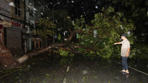 Bão quật đổ tháp truyền hình cao nhất Bắc Bộ ảnh 4 Bão quật đổ tháp truyền hình cao nhất Bắc Bộ, Tin tức trong ngày, bao son tinh, bao so 8, sieu bao, bao di chuyen nhanh, sieu bao son tinh, bao 2012, mua mua bao, mua mua bao 2012, bao, tin nhanh, tin hot, tin tuc, vn