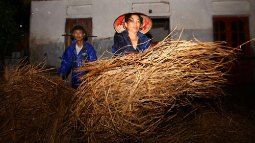 Bão quật đổ tháp truyền hình cao nhất Bắc Bộ ảnh 3 Bão quật đổ tháp truyền hình cao nhất Bắc Bộ, Tin tức trong ngày, bao son tinh, bao so 8, sieu bao, bao di chuyen nhanh, sieu bao son tinh, bao 2012, mua mua bao, mua mua bao 2012, bao, tin nhanh, tin hot, tin tuc, vn