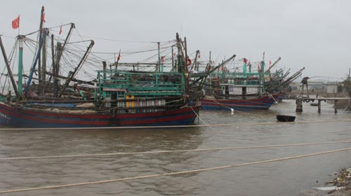 Bão quật đổ tháp truyền hình cao nhất Bắc Bộ ảnh 5 Bão quật đổ tháp truyền hình cao nhất Bắc Bộ, Tin tức trong ngày, bao son tinh, bao so 8, sieu bao, bao di chuyen nhanh, sieu bao son tinh, bao 2012, mua mua bao, mua mua bao 2012, bao, tin nhanh, tin hot, tin tuc, vn