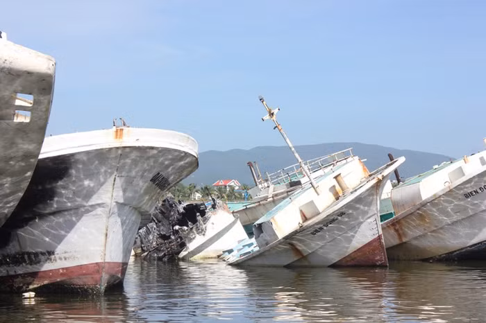 Theo giá được Trung tâm dịch vụ bán đấu giá tài sản tỉnh Khánh Hòa đưa ra thì hiện mỗi chiếc tàu có giá từ 40 triệu đến 81 triệu đồng đã bao gồm thuế giá trị gia tăng. Tính ra trung bình mỗi tấn tàu có giá 500 – 900 ngàn đồng. Nhìn những con tàu bị cháy và hư hỏng như vậy rất nhiều ngư dân tỏ ra tiếc nuối cho số phận của chúng. Sau đây là hình ảnh 7 con tàu tiền tỷ nói trên mà CTV báo Giáo dục Việt Nam vừa ghi lại ngày 27/10/2012.