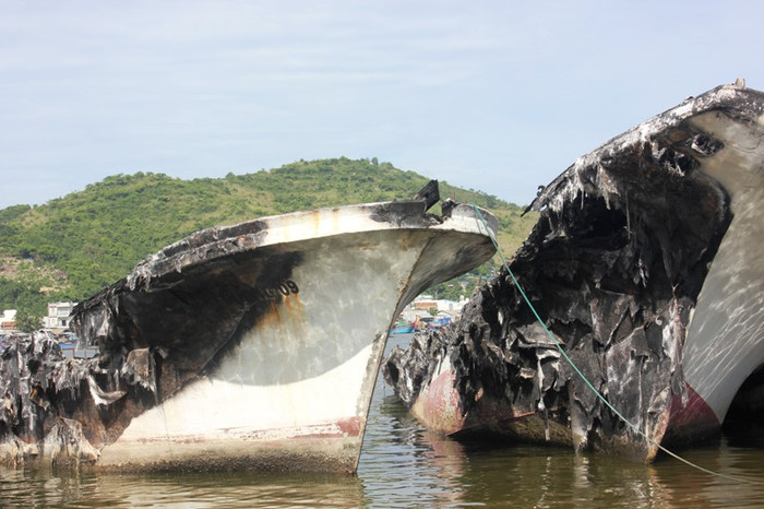 Theo ông Nguyễn Công Định, Giám đốc Sở giao thông và vận tải tỉnh Khánh Hòa thì đây là đội tàu thuộc sở hữu của một công ty cho thuê tài chính cho Công ty kinh doanh khai thác thủy sản Đại Dương tại Nha Trang thuê để đánh cá nhưng làm ăn không hiệu quả. Từ năm 2007 đến nay, đội tàu neo đậu tại Hòn Rớ thiếu sự coi trông nên hầu hết thiết bị máy móc đã bị mất cắp. Đặc biệt, tháng 5 năm 2012, đội tàu đã hư hỏng nặng sau vụ hỏa hoạn.