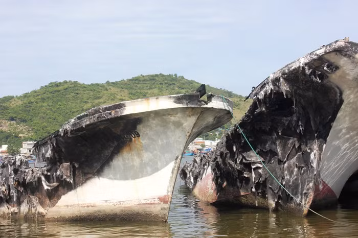 Theo ông Nguyễn Công Định, Giám đốc Sở giao thông và vận tải tỉnh Khánh Hòa thì đây là đội tàu thuộc sở hữu của một công ty cho thuê tài chính cho Công ty kinh doanh khai thác thủy sản Đại Dương tại Nha Trang thuê để đánh cá nhưng làm ăn không hiệu quả. Từ năm 2007 đến nay, đội tàu neo đậu tại Hòn Rớ thiếu sự coi trông nên hầu hết thiết bị máy móc đã bị mất cắp. Đặc biệt, tháng 5 năm 2012, đội tàu đã hư hỏng nặng sau vụ hỏa hoạn.