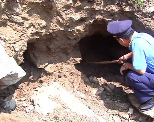 Đào nát quốc lộ tìm... gỗ sưa ảnh 2 Đào nát quốc lộ tìm... gỗ sưa, Tin tức trong ngày, pha quoc lo tim go sua, go sua, go sua nghin ti, xam sua, do co, thanh dia go sua, go quy, bao, tin tuc, tin hot, tin hay, vn