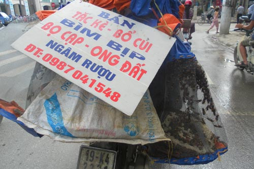 “Thần dược” ầm ầm xuống phố ảnh 1 “Thần dược” ầm ầm xuống phố, Tin tức trong ngày, than duoc, bim bip, than duoc cho quy ong, chuyen phong the, bo cap, ong dat, thuoc chua benh, bao, tin tuc, tin hot, tin hay, vn