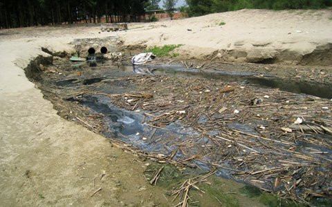 Dan keu cuu vi DN xa thai truc tiep ra bien