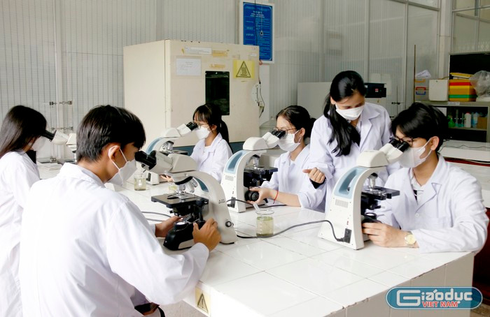 Nhiệm vụ trọng tâm của nhà trường là hoàn thiện cơ sở vật chất, tăng cường đội ngũ giảng viên và đẩy mạnh nghiên cứu khoa học. (Ảnh minh họa: Ngân Chi) gdvn-anh-nc-1979.jpg