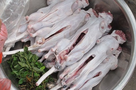Bán chuột cống kèm rau thơm. Bán chuột cống kèm rau thơm.