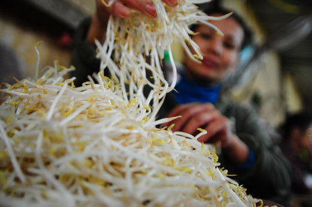 Giá đỗ tại Hà Nội có nhiều khả năng được sử dụng thuốc kích thích tăng trưởng (ảnh minh họa). Giá đỗ tại Hà Nội có nhiều khả năng được sử dụng thuốc kích thích tăng trưởng (ảnh minh họa).