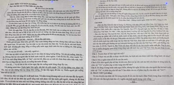 Một đề kiểm tra Ngữ văn 11 dài 2 mặt giấy A4, chi chít chữ. (Ảnh: CTV)
