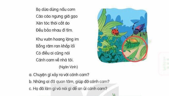 Sách minh họa nhầm bọ rùa thành bọ dừa, cào cào trông giống bọ rầy. (Ảnh: Cao Nguyên) Sách minh họa nhầm bọ rùa thành bọ dừa, cào cào trông giống bọ rầy. (Ảnh: Cao Nguyên)