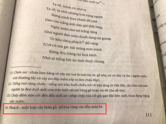 Chú thích rừng phách trong sách giáo khoa. (Ảnh: Cao Nguyên)