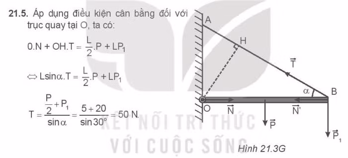 Hình vẽ trong sách bài tập Kết nối tri thức với cuộc sống. (Nguồn ảnh: Mai Văn Túc) Hình vẽ trong sách bài tập Kết nối tri thức với cuộc sống. (Nguồn ảnh: Mai Văn Túc)