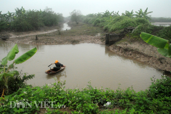 Một khu đầm ở Tiên Lãng, Hải Phòng Một khu đầm ở Tiên Lãng, Hải Phòng