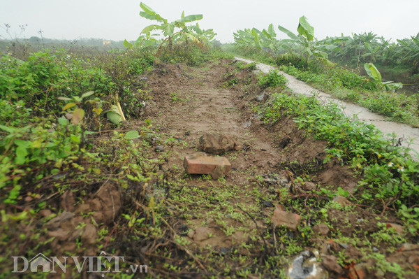 Đường vào khu đầm gia đình ông Vươn nuôi trồng thủy sản