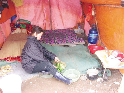 Vụ cưỡng chế: San phẳng ngôi nhà trước mắt cơ quan chức năng ảnh 1 Vụ cưỡng chế: San phẳng ngôi nhà trước mắt cơ quan chức năng ảnh 1