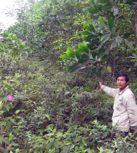 Người dân xã Thanh An tố bị chiếm đất rừng