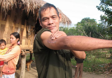 Cả thôn khổ vì… bò tót ảnh 2