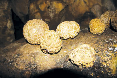 Những hình thù kì lạ ở hang Chi Đảy ảnh 1