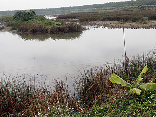Tòa án 2 cấp vi phạm nghiêm trọng trong vụ Đoàn Văn Vươn ảnh 1