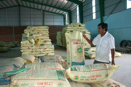 Sáu Đức trong kho lúa giống của công ty. Sáu Đức trong kho lúa giống của công ty.