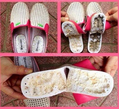 Trong các mẫu dép được kiểm định không phát hiện độc tố nào gây hại cho người sử dụng.