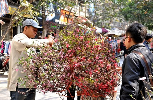 Các tỉnh miền Bắc thời tiết ấm áp trong dịp tết (Ảnh minh họa).