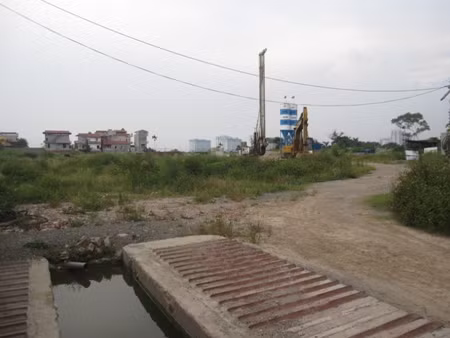 Khu đất làm dự án cỏ mọc um tùm.