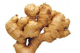 Đây là vị thuốc chữa đau bụng, buồn nôn và say tàu xe. Đây là vị thuốc chữa đau bụng, buồn nôn và say tàu xe.