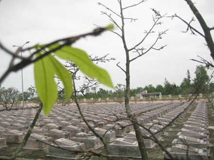 Ảnh minh họa Ảnh minh họa