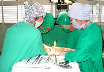 Một ca nối “của quý” tại BV Chợ Rẫy. Ảnh: CTV Một ca nối “của quý” tại BV Chợ Rẫy. Ảnh: CTV