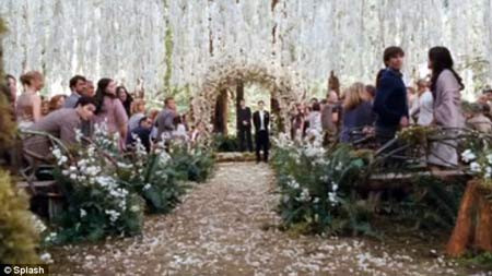 Cảnh đám cưới với những ánh sáng nhấp nháy liên tục cũng kích thích mạnh não của người xem. Cảnh đám cưới với những ánh sáng nhấp nháy liên tục cũng kích thích mạnh não của người xem.