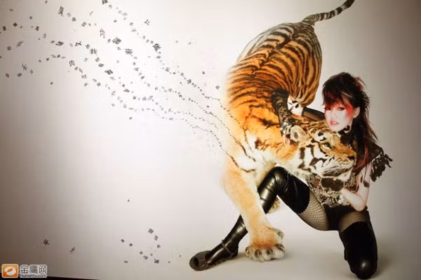 39 sao Hoa ngữ bán nude từ thiện ảnh 3