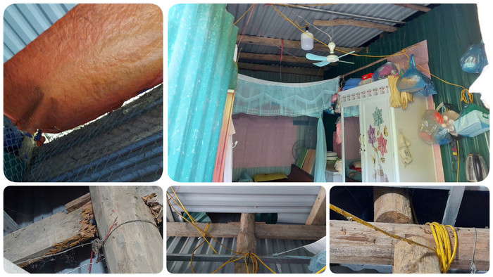 Gỗ, tôn và đôi khi là một vài tấm bạt được che chắn lại, là nơi 4 giáo viên Trường Mầm non Thái Sơn đang sinh hoạt. Ảnh: NVCC.