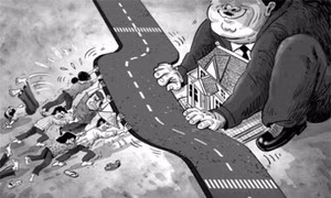 Châu chấu công đường! ảnh 4