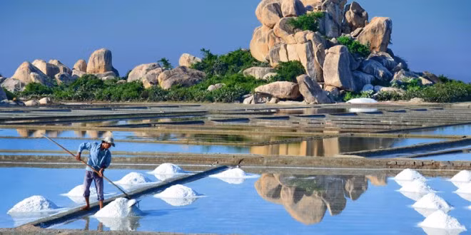 Phản biện Giáo sư Ngô Bảo Châu về “phẫn nộ tạo động lực phát triển xã hội” ảnh 3