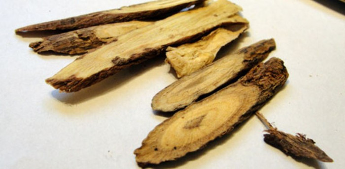 4. Cam thảo: Thử nghiệm của các nhà nghiên cứu Mỹ cho thấy hai hợp chất có nhiều trong rễ cam thảo là licoricidin, licorisoflavan A có hiệu quả trong việc ức chế sự phát triển của vi khuẩn gây sâu răng và viêm nha chu, có thể dẫn đến tình trạng phá hủy xương, nướu răng.