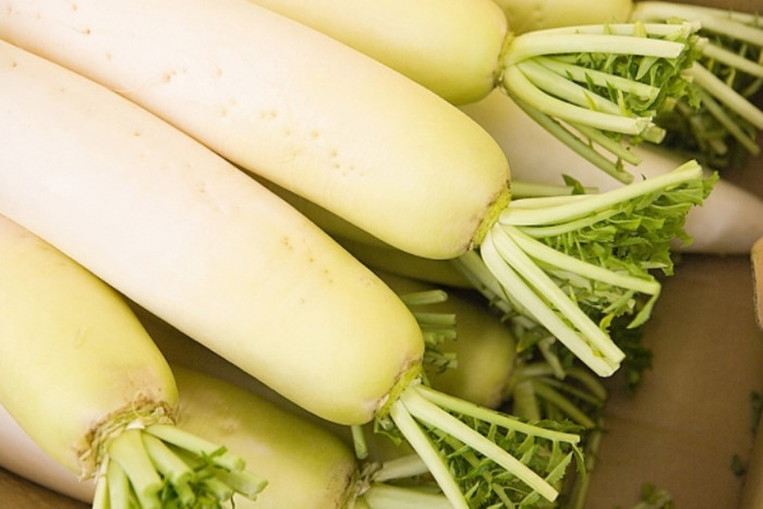 9. Củ cải: Giã củ cải sống 300g rồi vắt lấy nước hòa thêm một ít nước lọc, súc miệng ngày 3 lần, dùng 2 ngày là khỏi. 9. Củ cải: Giã củ cải sống 300g rồi vắt lấy nước hòa thêm một ít nước lọc, súc miệng ngày 3 lần, dùng 2 ngày là khỏi.