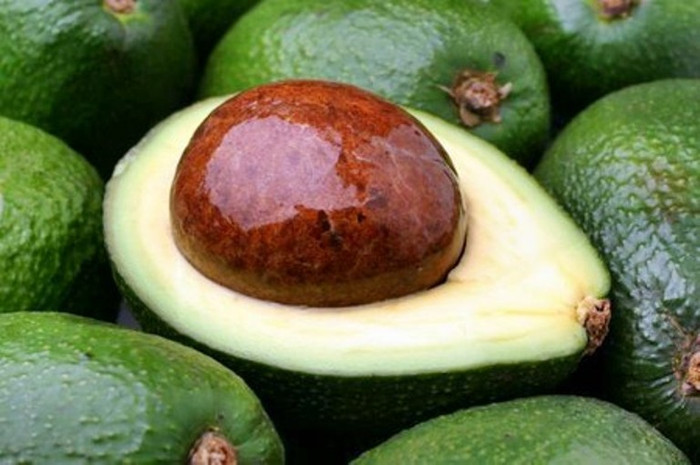 10. Ăn bơ thường xuyên có thể giúp bạn ngăn chặn lão hóa tóc. Bên cạnh đó, bạn dùng bơ xay massage chân tóc rồi gội lại, thực hiện ít nhất hai lần/ tuần. 10. Ăn bơ thường xuyên có thể giúp bạn ngăn chặn lão hóa tóc. Bên cạnh đó, bạn dùng bơ xay massage chân tóc rồi gội lại, thực hiện ít nhất hai lần/ tuần.