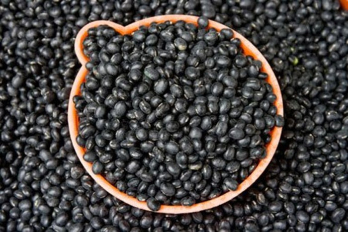 7. Cô đặc 200 gram đậu đen với 500ml nước. Bỏ bã. Dùng nước đã cô đặc chấm lên chân tóc hằng ngày. Để khô 1giờ rồi gội lại với nước sạch. Không dùng với dầu gội. Cách làm này hoàn toàn không gây hại cho tóc cũng như sức khoẻ cơ thể. Nếu kiên trì thực hiện, mái tóc sẽ có kết quả như mong muốn. 7. Cô đặc 200 gram đậu đen với 500ml nước. Bỏ bã. Dùng nước đã cô đặc chấm lên chân tóc hằng ngày. Để khô 1giờ rồi gội lại với nước sạch. Không dùng với dầu gội. Cách làm này hoàn toàn không gây hại cho tóc cũng như sức khoẻ cơ thể. Nếu kiên trì thực hiện, mái tóc sẽ có kết quả như mong muốn.