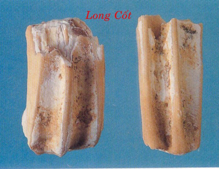 16. Long cốt 30g, mẫu lệ 20g, sơn thù 10g, gạo tẻ 100g. Các vị thuốc đem sắc kỹ 2 lần, mỗi lần 40 phút rồi lọc lấy nước nấu với gạo thành cháo, chia ăn vài lần trong ngày. 16. Long cốt 30g, mẫu lệ 20g, sơn thù 10g, gạo tẻ 100g. Các vị thuốc đem sắc kỹ 2 lần, mỗi lần 40 phút rồi lọc lấy nước nấu với gạo thành cháo, chia ăn vài lần trong ngày.